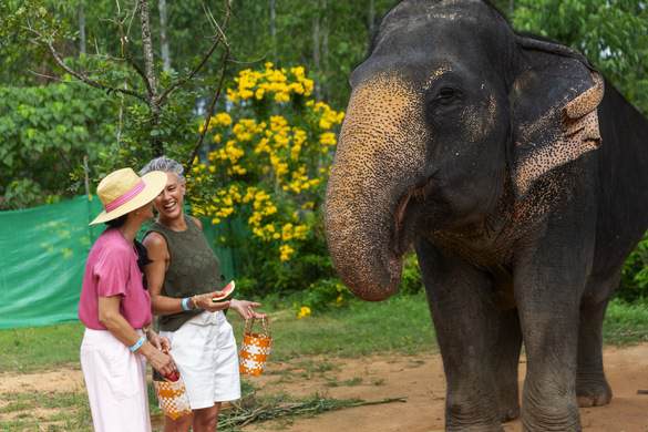 Azamara Cruises Elephant Sanctuary in Thailand © Jenna Lyn, Azamara Cruises1.jpg